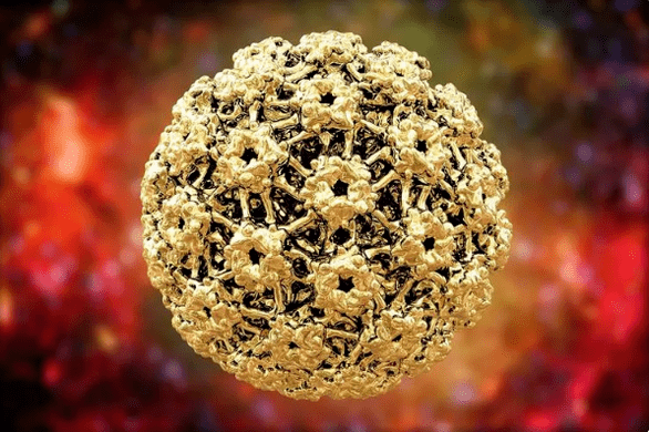 Virus del papilloma umano