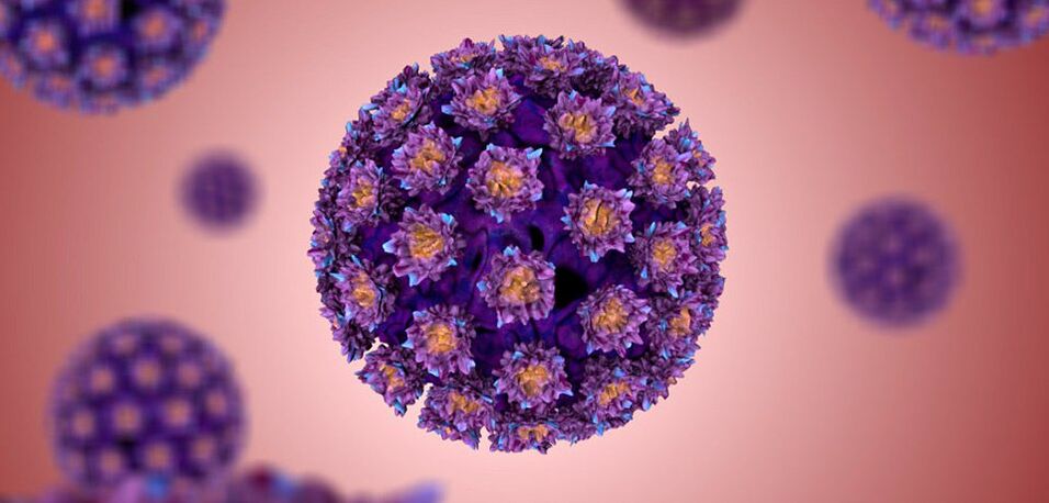 Che aspetto ha il papillomavirus umano